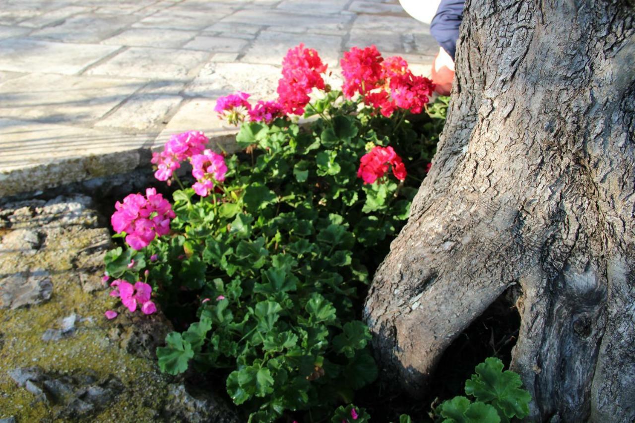 Stone Rose Villa Agios Ioannis  Luaran gambar